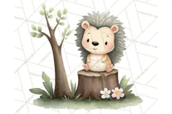 Hedgehog & Friends PNG, Cute Woodland Animals Clipart Product Image 5