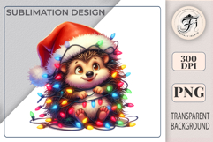 Cute hedgehog PNG for woodland and fall designs. Perfect for nursery art, stickers, cards, and scrapbooking.