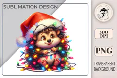 Cute hedgehog PNG for woodland and fall designs. Perfect for nursery art, stickers, cards, and scrapbooking.