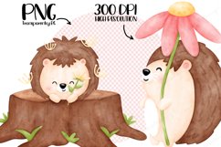 Cute Hedgehog Watercolor Clipart, Animal clipart, Hedgehog Product Image 3