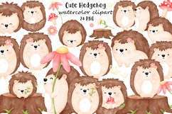 Cute Hedgehog Watercolor Clipart, Animal clipart, Hedgehog Product Image 1