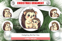 Ornament Hedgehog Mother&#039;s Day Product Image 1
