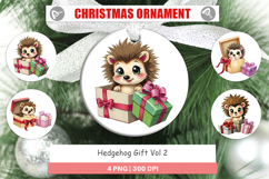 Ornament Hedgehog Gift Product Image 1