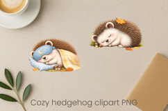 Cozy hedgehog sublimation | Cute funny hedgehog clipart PNG Product Image 1
