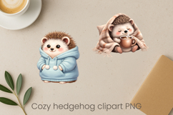 Cozy hedgehog sublimation | Cute funny hedgehog clipart PNG Product Image 1