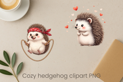 Cozy hedgehog sublimation | Cute hedgehog clipart bundle Product Image 6