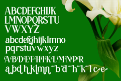 Hedric Magname - Modern Display Serif Product Image 10