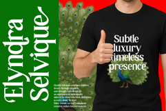 Hedric Magname - Modern Display Serif Product Image 2