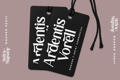 Hedric Magname - Modern Display Serif Product Image 3