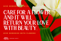 Hedric Magname - Modern Display Serif Product Image 4