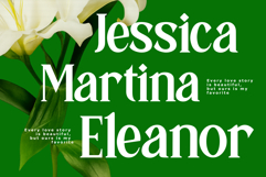 Hedric Magname - Modern Display Serif Product Image 8