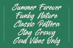 Heighaps Wastone - Modern Brush Font Product Image 8