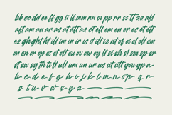 Heighaps Wastone - Modern Brush Font Product Image 17