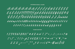 Heighaps Wastone - Modern Brush Font Product Image 18