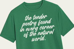 Heighaps Wastone - Modern Brush Font Product Image 19