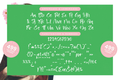 Heights Asterick - Modern Handwritten Font Product Image 13