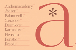 Hekgest - Elegant Modern Serif Font Product Image 7