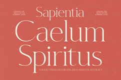 Hekgest - Elegant Modern Serif Font Product Image 11