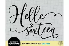 16th Birthday SVG, Birthday SVG, sixteen sublimation png Product Image 2