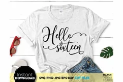16th Birthday SVG, Birthday SVG, sixteen sublimation png Product Image 4