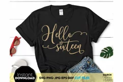 16th Birthday SVG, Birthday SVG, sixteen sublimation png Product Image 3