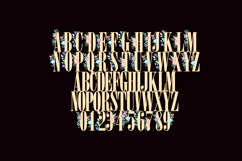 Hello Botanicals Color Font Product Image 4