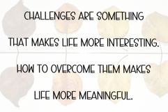 Hello Cat Product Image 6