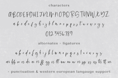 Hello Dear Script Product Image 10