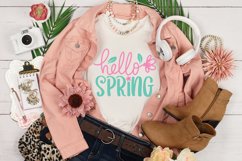 Hello Spring | Spring SVG Cut File Product Image 1