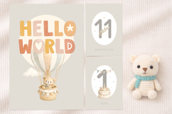 Monthly Baby Milestone Cards Printable, newborn card Product Image 4