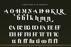 Helonea Bold Display Font Product Image 9