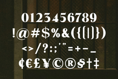 Helonea Bold Display Font Product Image 10