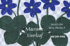 Macrame Liverleaf Flower PNG Botanical Clipart Product Image 3