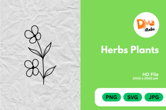 Herbs Plants illustration Product Image 1