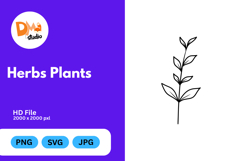 Herbs Plants illustration Product Image 1