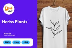 Herbs Plants illustration Product Image 1