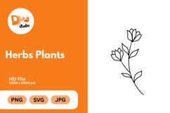 Herbs Plants illustration Product Image 1