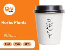 Herbs Plants illustration Product Image 1