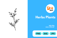 Herbs Plants illustration Product Image 1