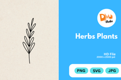 Herbs Plants illustration Product Image 1