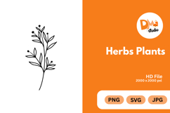 Herbs Plants illustration Product Image 1