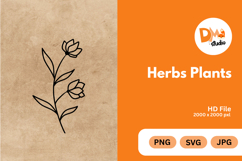 Herbs Plants illustration Product Image 1
