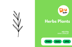 Herbs Plants illustration Product Image 1