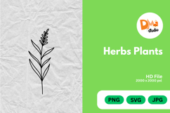 Herbs Plants illustration Product Image 1