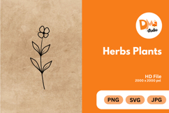 Herbs Plants illustration Product Image 1