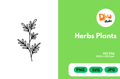 Herbs Plants illustration Product Image 1