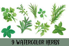 Hand painted watercolor Garden Herbs Product Image 5