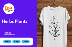 Herbs Plants illustration Product Image 1