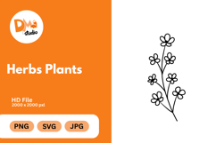 Herbs Plants illustration Product Image 1