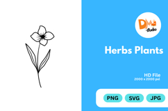 Herbs Plants illustration Product Image 1